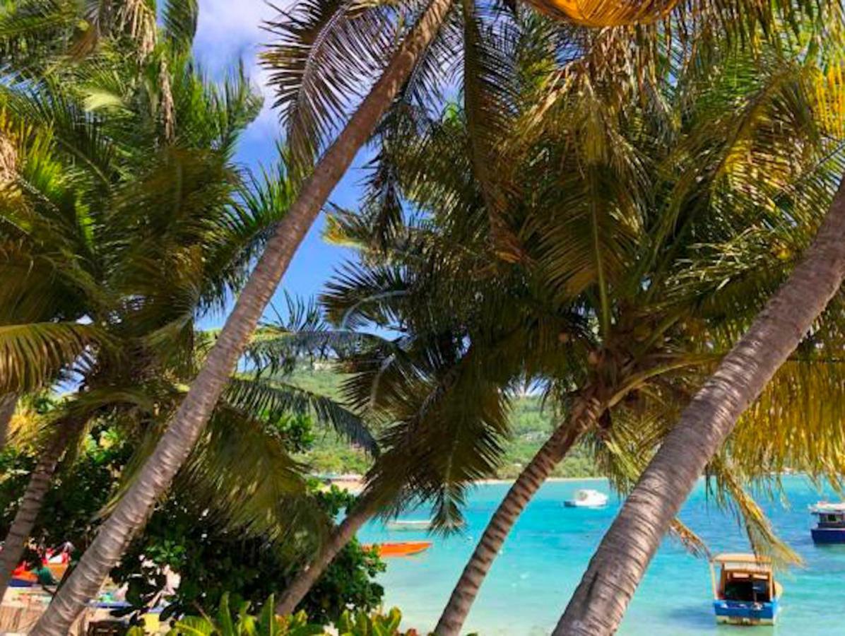Bequia Beachfront Villa Hotel Friendship Exteriér fotografie