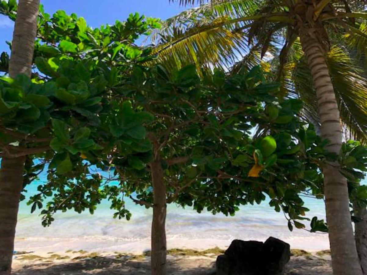 Bequia Beachfront Villa Hotel Friendship Exteriér fotografie