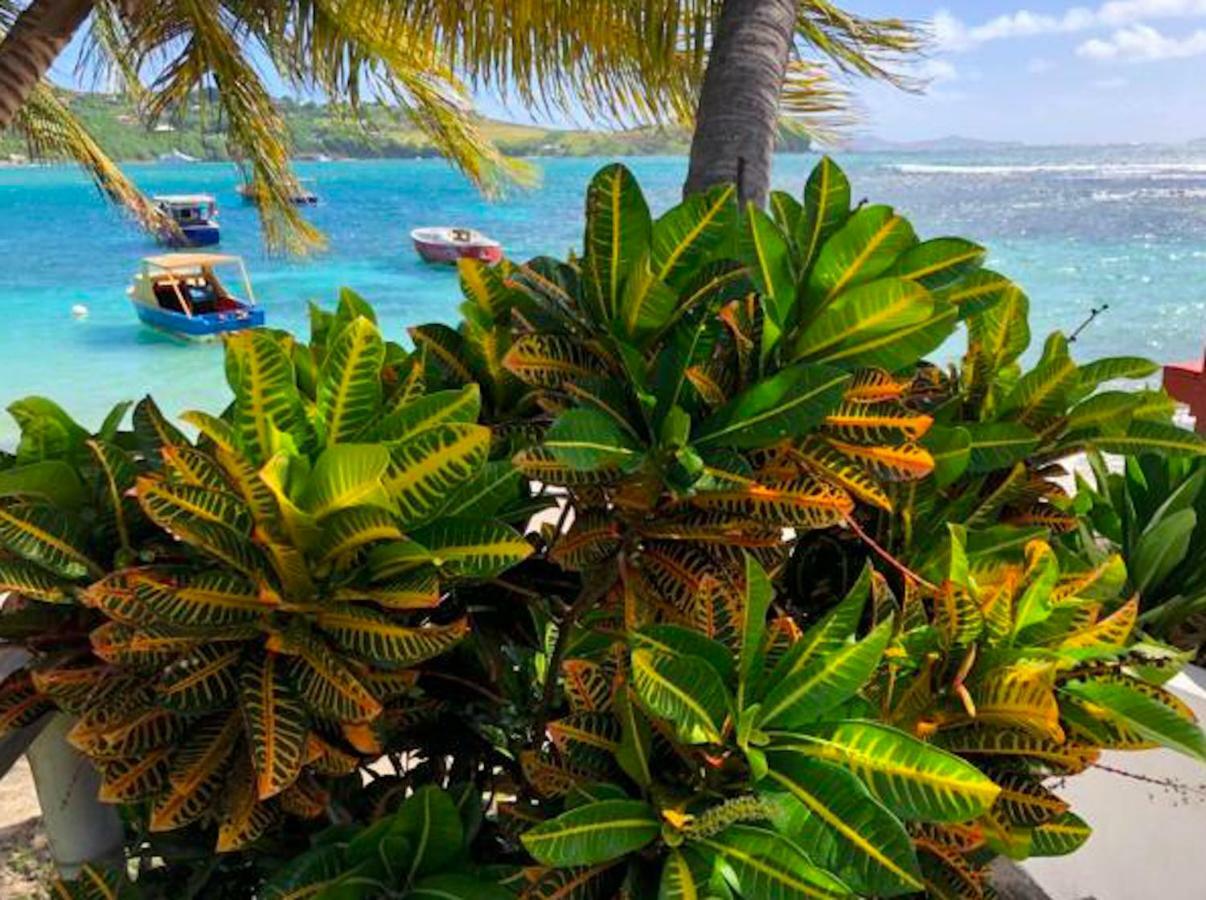 Bequia Beachfront Villa Hotel Friendship Exteriér fotografie